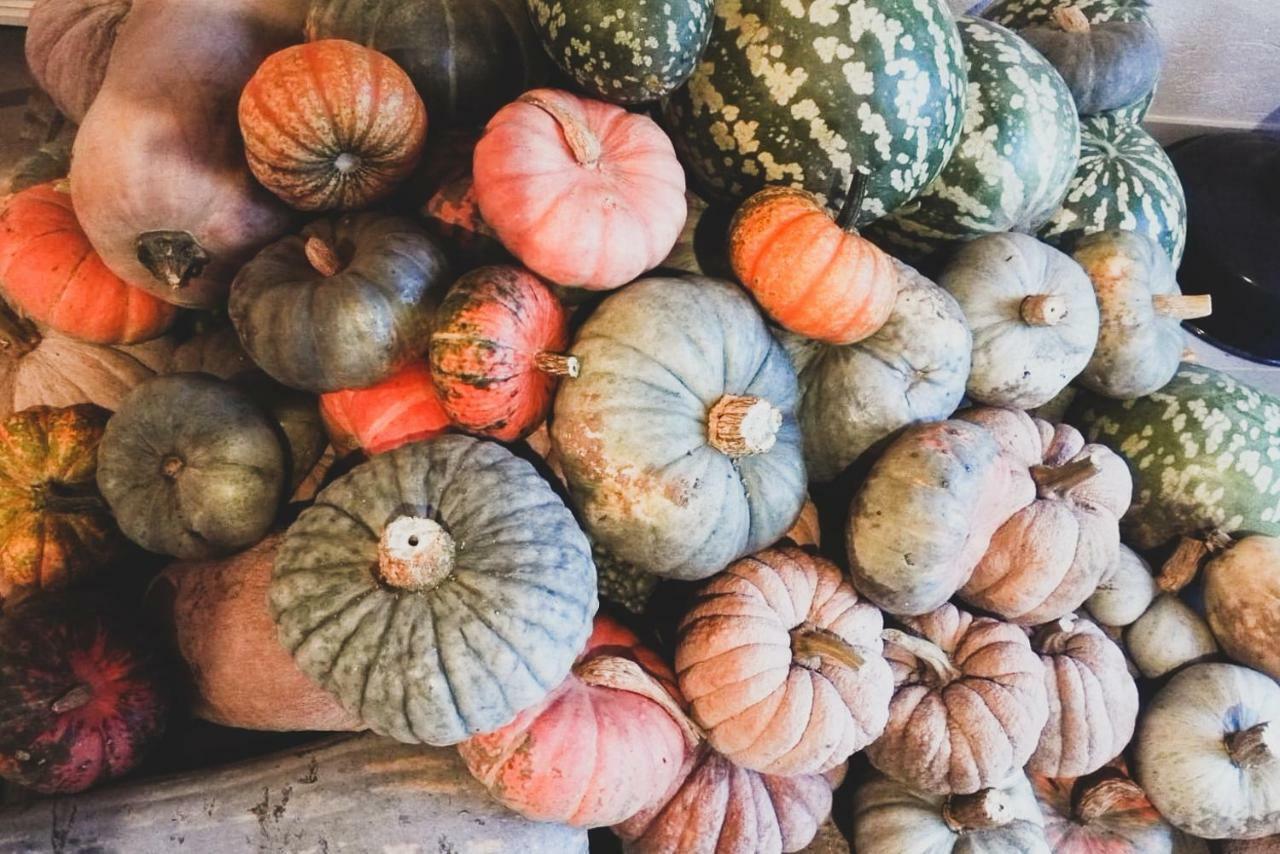 Agriturismo Fiori Di Zucca Fossano Kültér fotó
