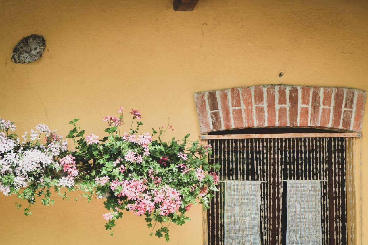 Agriturismo Fiori Di Zucca Fossano Kültér fotó